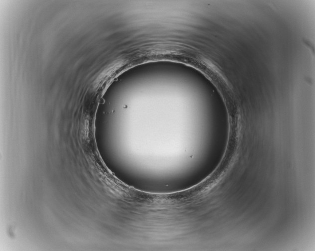 X0000100220777200805301346