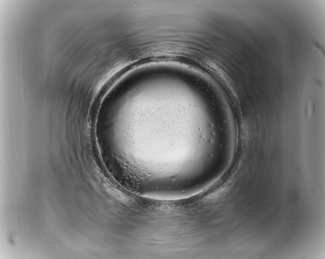 X0000100220779200805301346