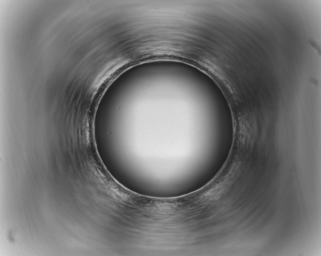 X0000100220782200805301346