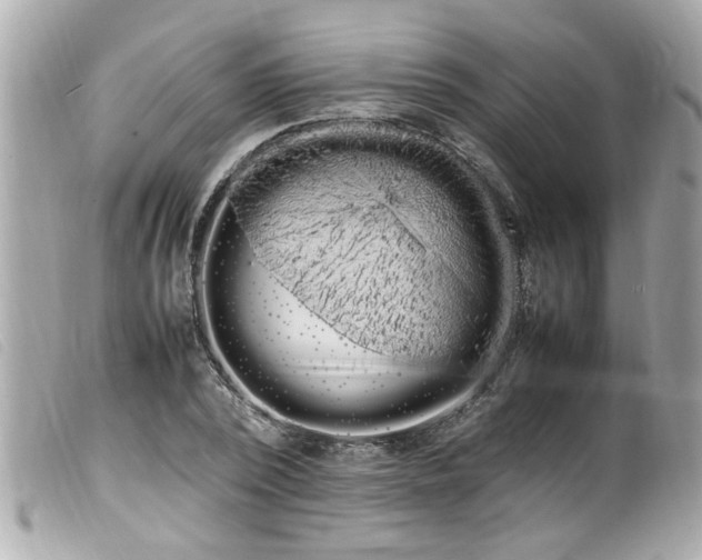 X0000100220784200805301346