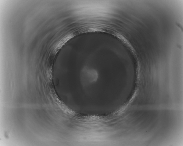 X0000100220785200805301346