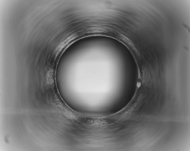 X0000100220786200805301346