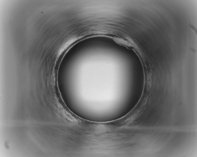 X0000100220787200805301346
