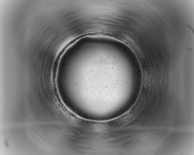 X0000100220788200805301346