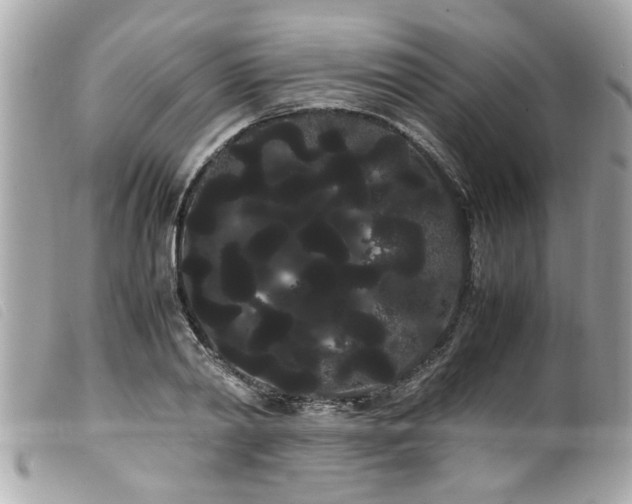 X0000100220790200805301346