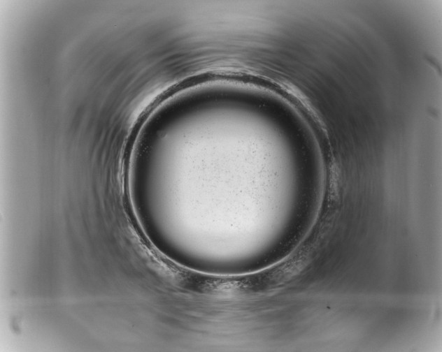 X0000100220791200805301346