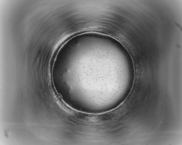 X0000100220792200805301346
