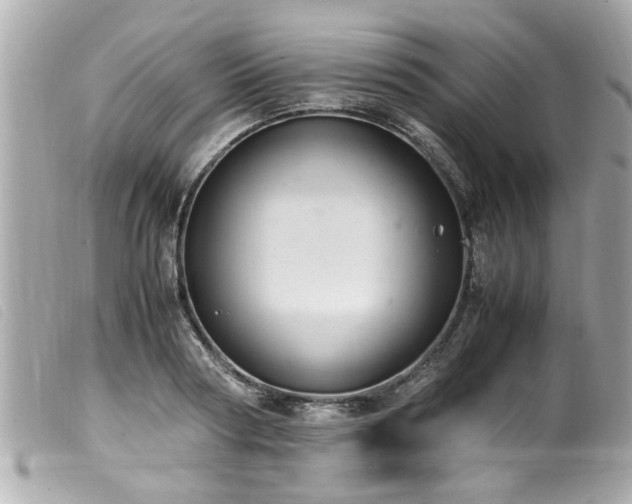 X0000100220794200805301346