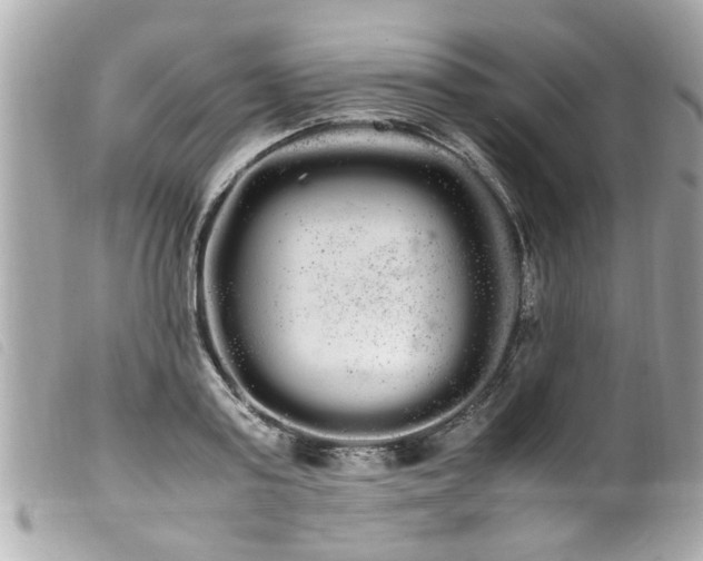 X0000100220795200805301346