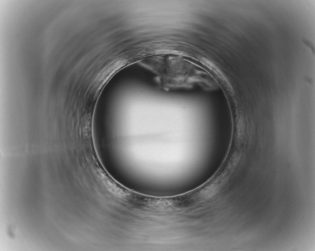 X0000100220801200805301345