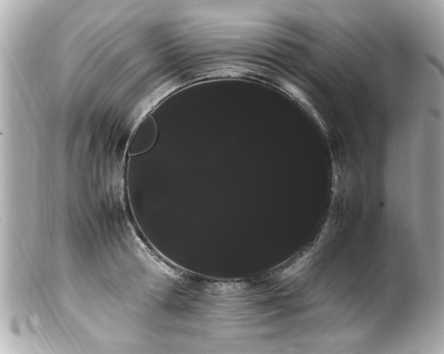 X0000100220802200805301345