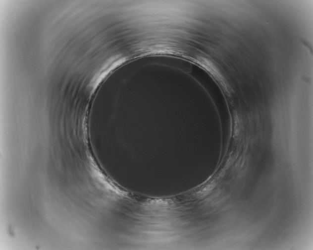 X0000100220806200805301345