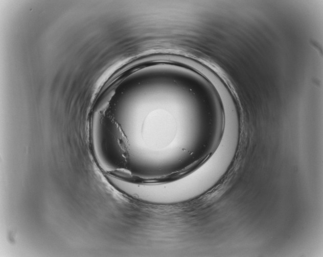 X0000100220807200805301345