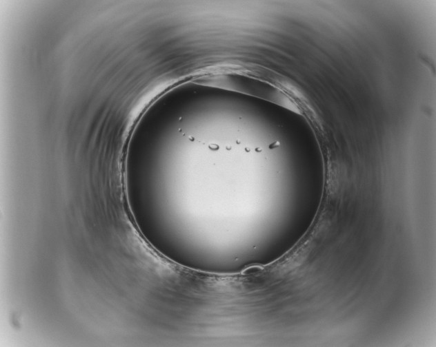 X0000100220808200805301345