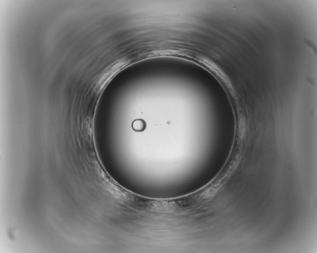 X0000100220809200805301345