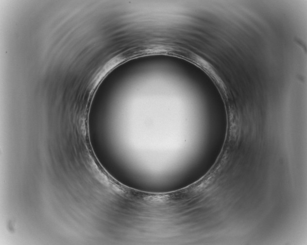 X0000100220810200805301345
