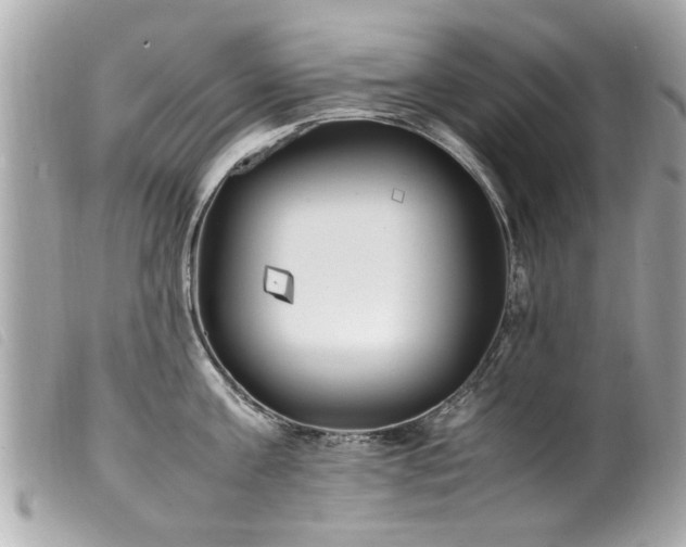X0000100220811200805301345