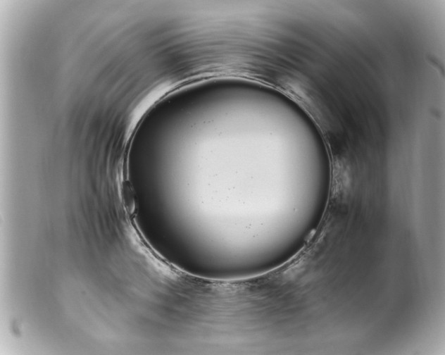 X0000100220812200805301345