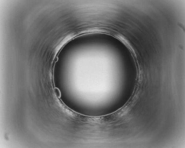 X0000100220813200805301345