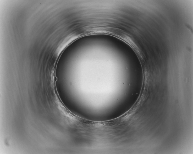 X0000100220814200805301345