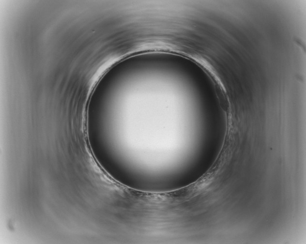 X0000100220815200805301345