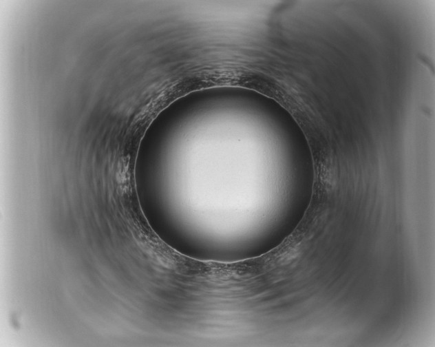 X0000100220818200805301345