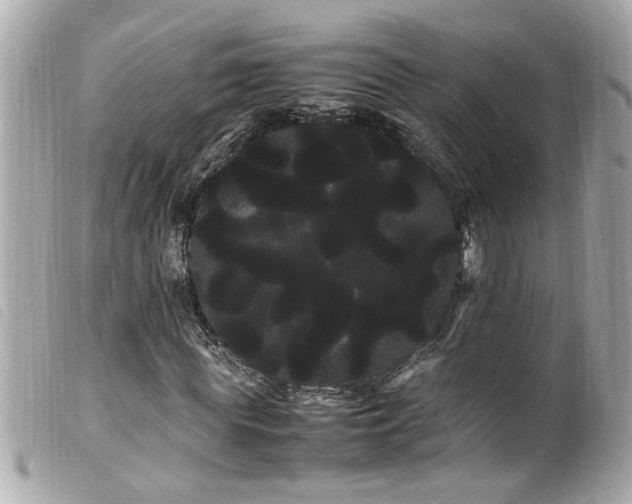 X0000100220819200805301345