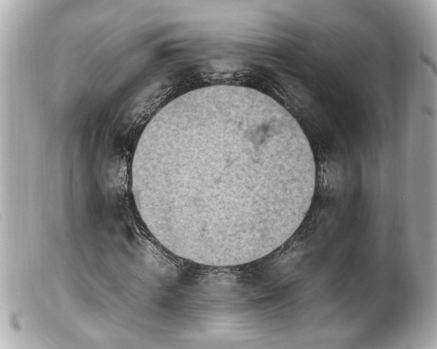 X0000100220820200805301345
