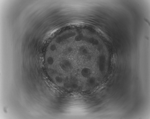 X0000100220822200805301345