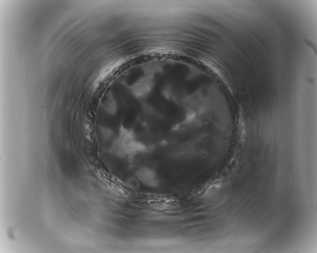 X0000100220823200805301345