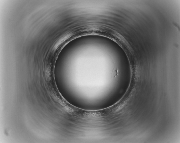 X0000100220826200805301345