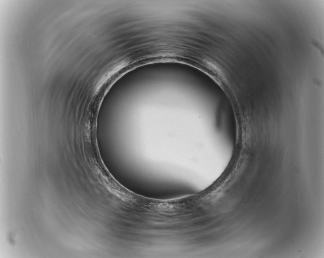 X0000100220827200805301345
