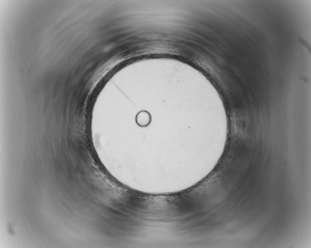 X0000100220828200805301345