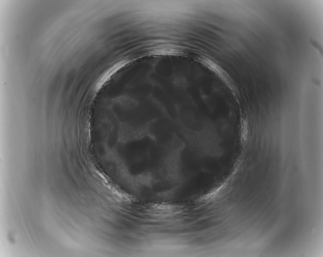 X0000100220829200805301345