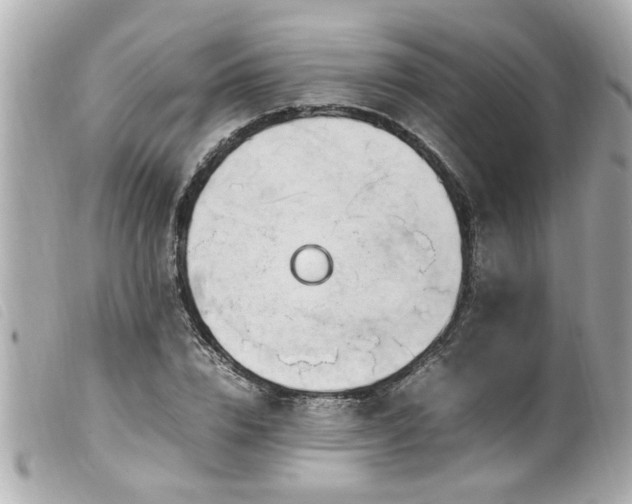 X0000100220832200805301345
