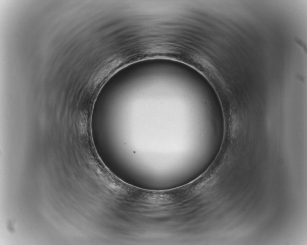 X0000100220833200805301345