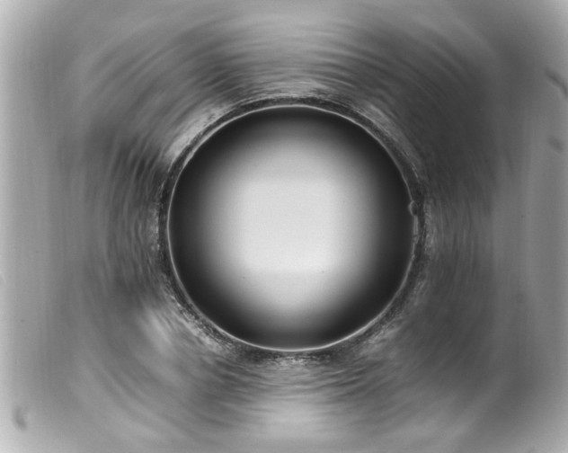 X0000100220834200805301345