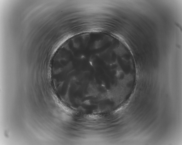 X0000100220835200805301345