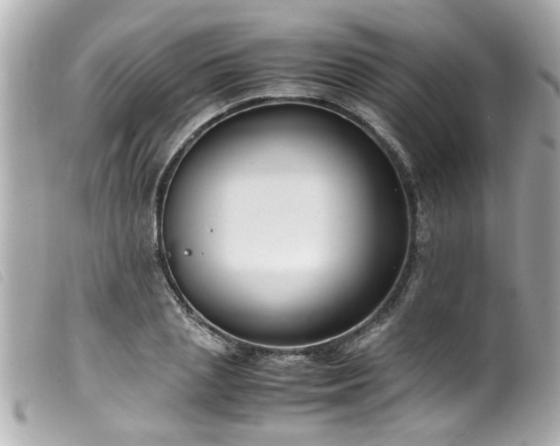 X0000100220837200805301345