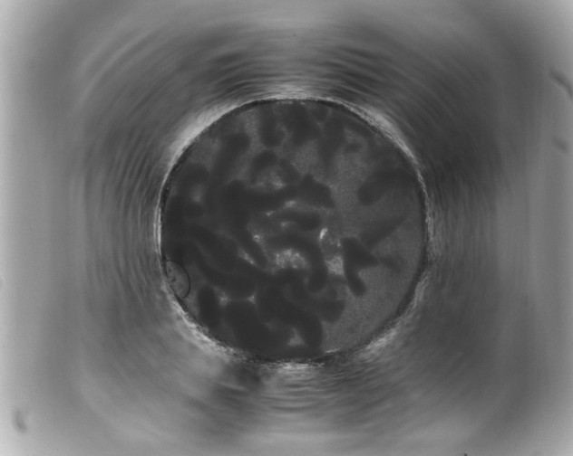 X0000100220839200805301345