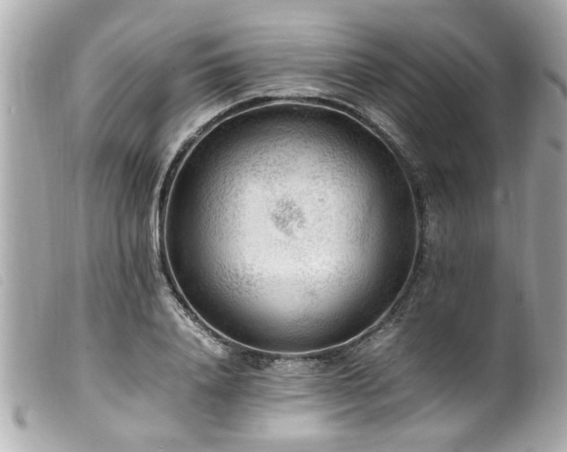 X0000100220840200805301345