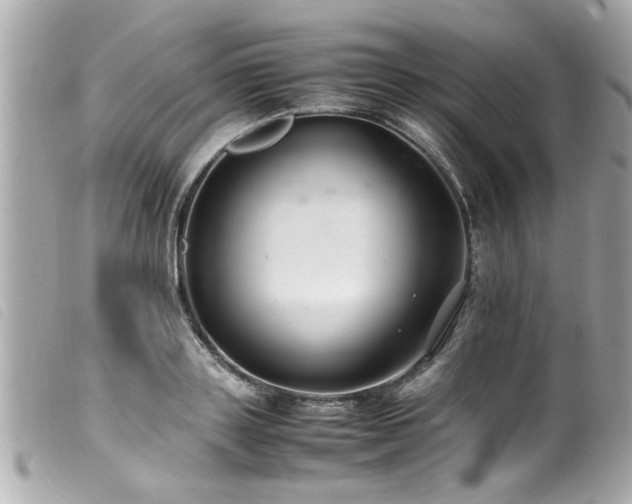 X0000100220843200805301345