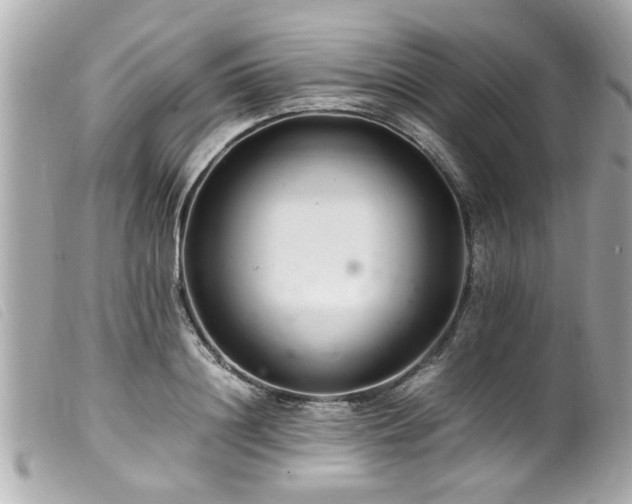 X0000100220844200805301345