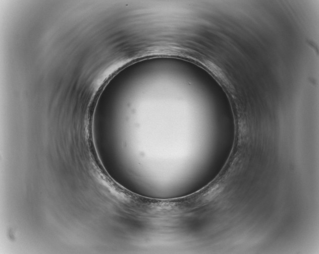 X0000100220846200805301345