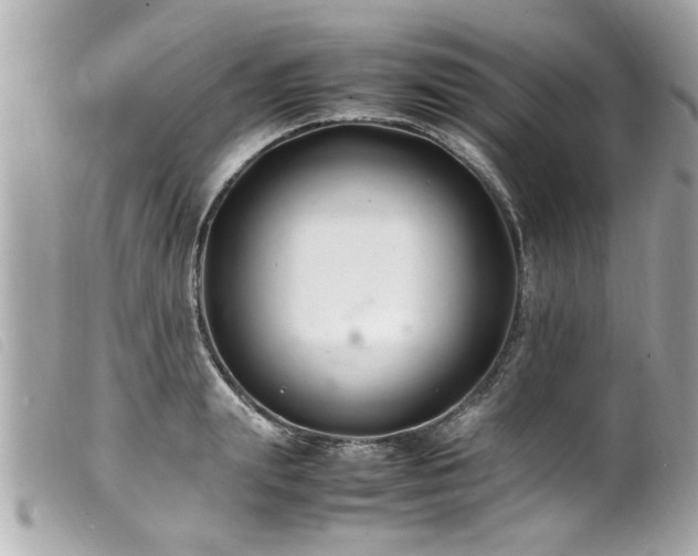 X0000100220847200805301345