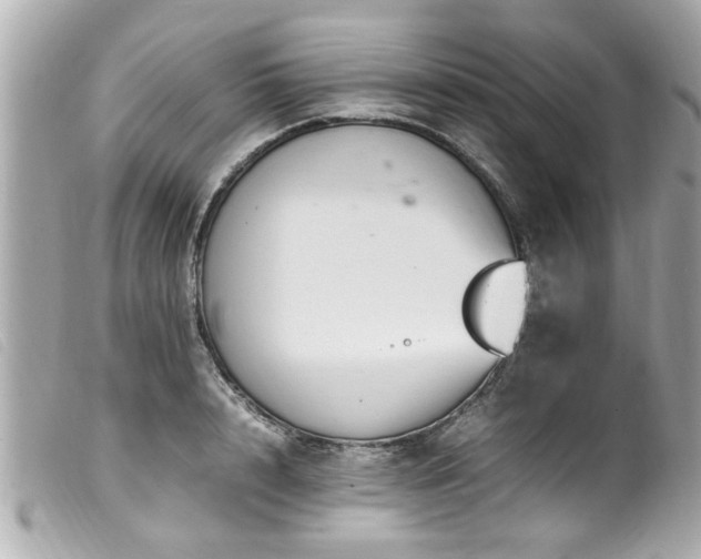 X0000100220848200805301345