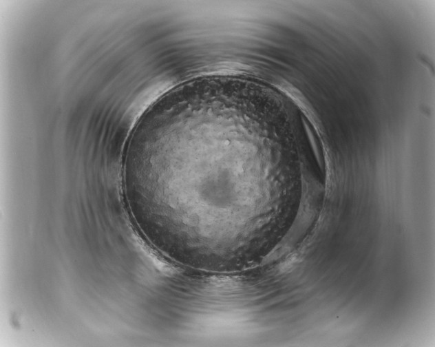 X0000100220850200805301345