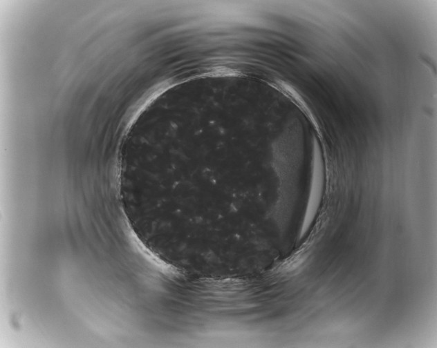 X0000100220851200805301345