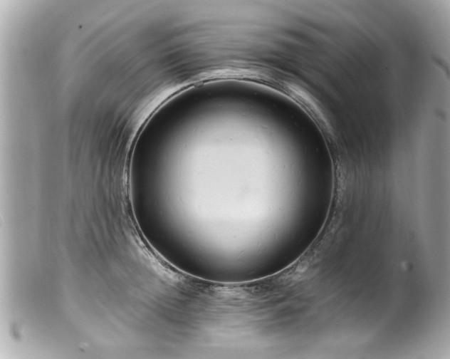 X0000100220852200805301345