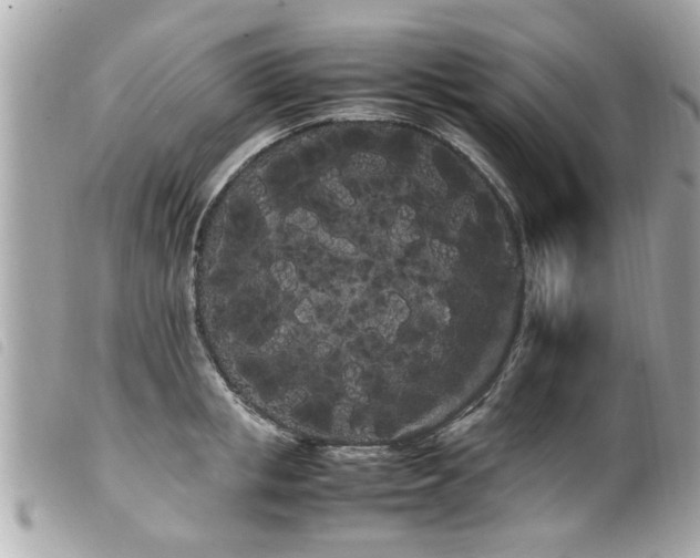 X0000100220853200805301345